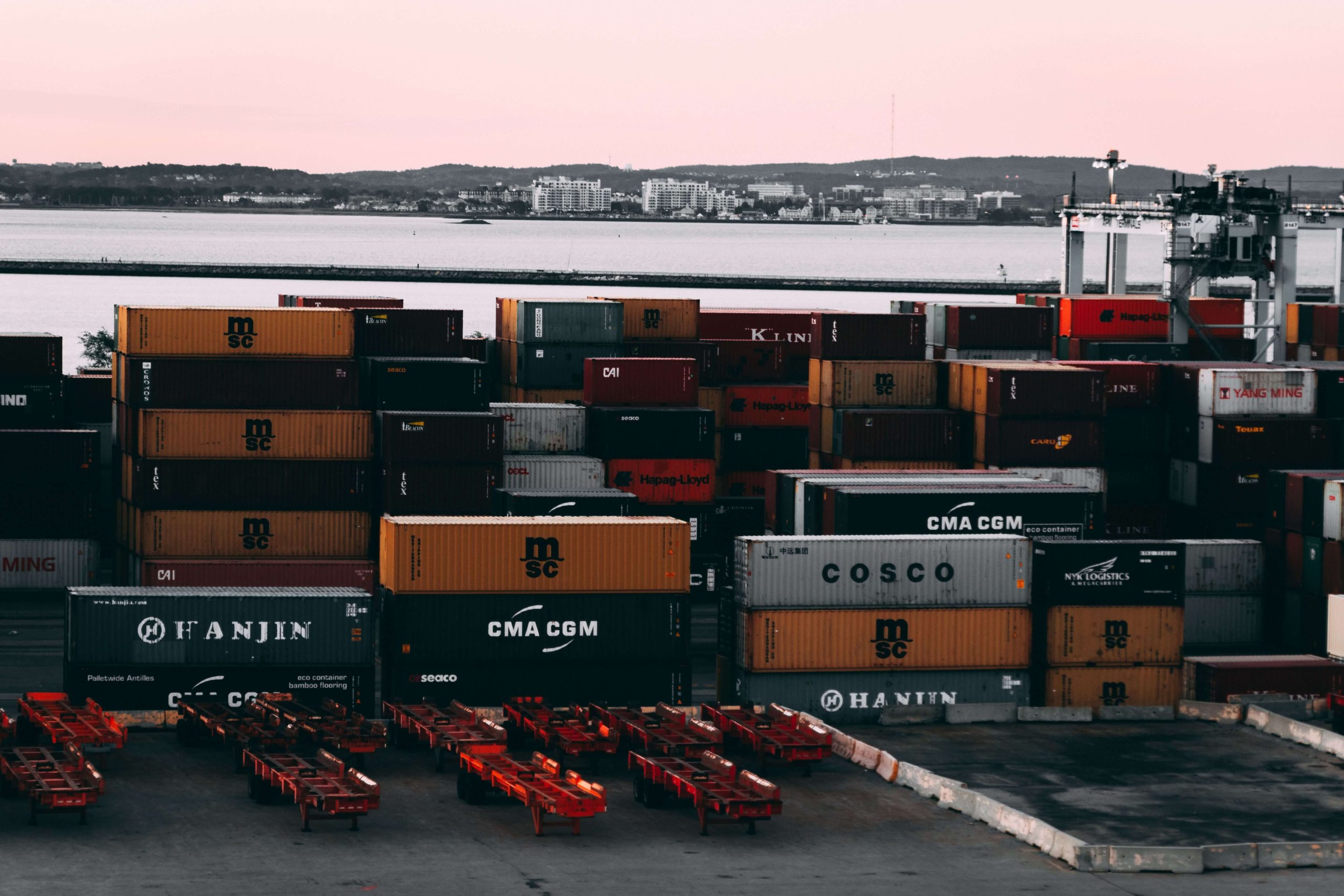 Understanding the Automated Commercial Environment (ACE): What Importers Actually See vs. What Brokers See